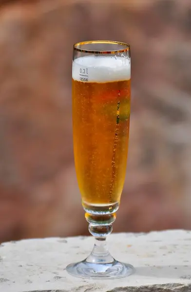 Beer Pilsner Glass Close — Stock Photo, Image
