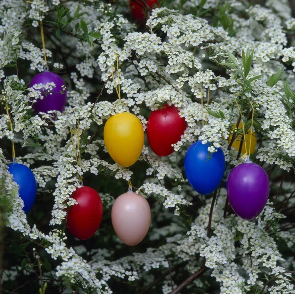 Wielkanocne Dekoracje Zbliżenie — Zdjęcie stockowe