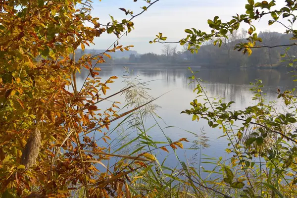 マウルブロン近くの秋の風景 アークリスビューの朝の雰囲気 自然保護区 — ストック写真