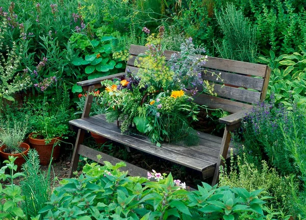 Different Herbs Garden Bench Different Herbs Garden Bench — Stock Photo, Image