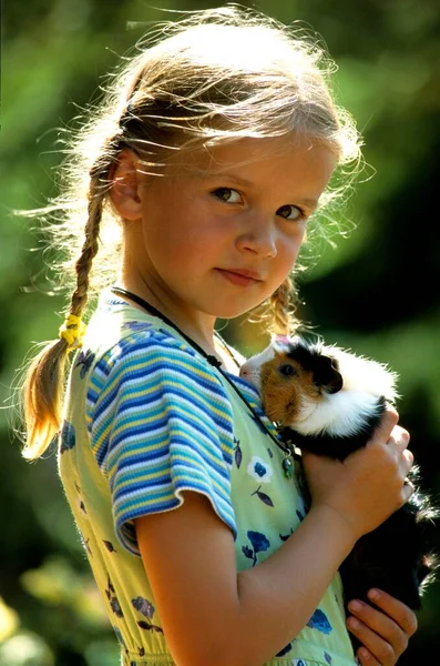 Little Girl Guinea Pig — Stock Photo, Image