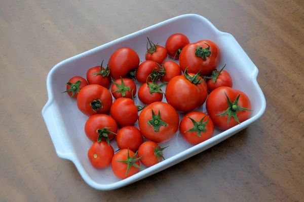 Reife Tomaten Solanum Lycopersicum Der Schale Tomate Schweiz Europa — Stockfoto
