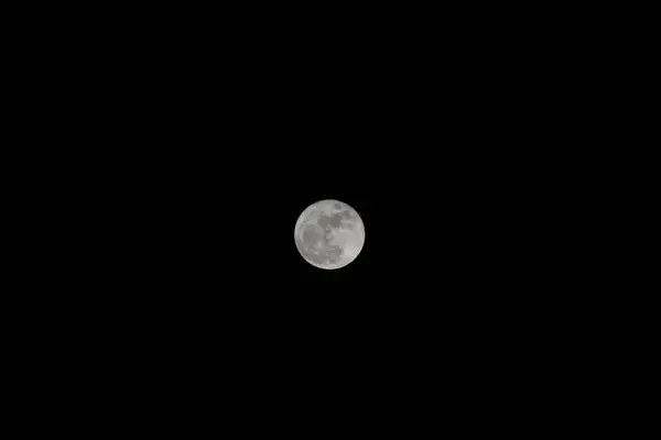 보름달이 — 스톡 사진