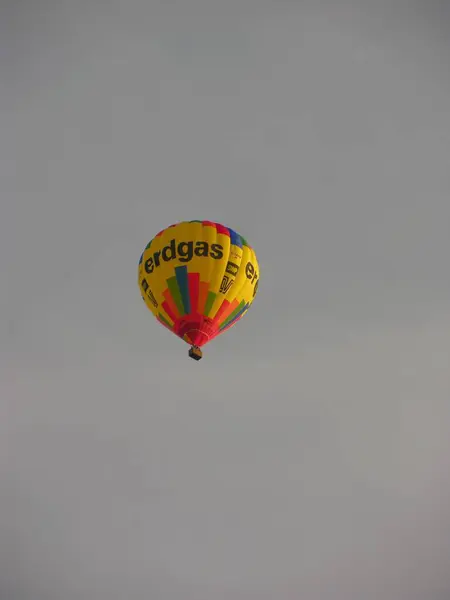 Heißluftballon Wegerich Heilpflanze — Stockfoto