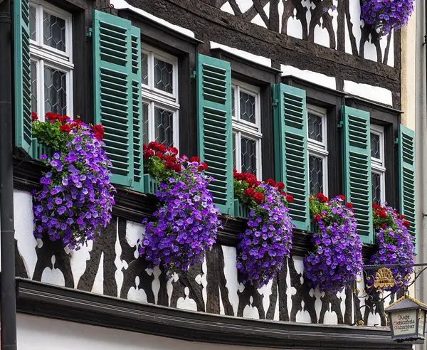 Bukiet Kwiatów Przy Oknie Zabytkowym Domu Muru Pruskiego Bamberg Górna — Zdjęcie stockowe