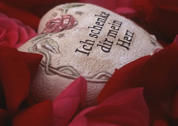 Daję Moje Serce Kamienne Serce Wiadomością Miłosną Czerwonych Płatkach Róż — Zdjęcie stockowe