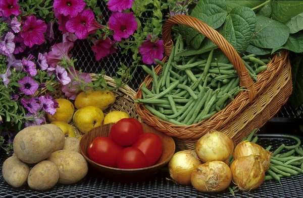 Different kinds of garden fruits and vegetables Beans, potatoes, tomatoes, onions in a basket