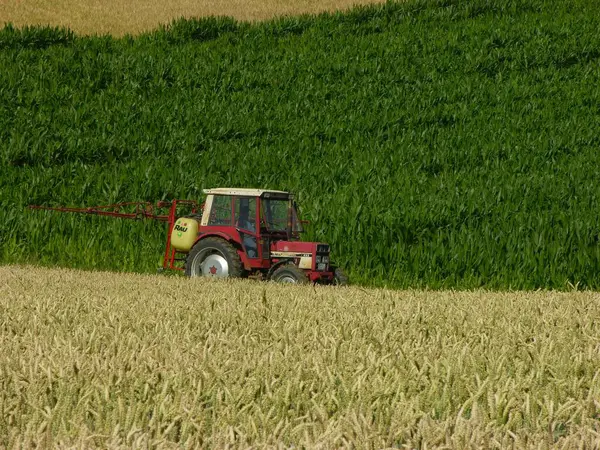 Трактор Между Пшеницей Кукурузным Полем — стоковое фото