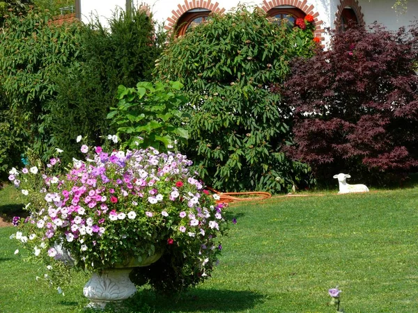 Maison Jardin Ornement Pelouse Avec Fleurs Bordure Fleurs Pot Fleurs — Photo