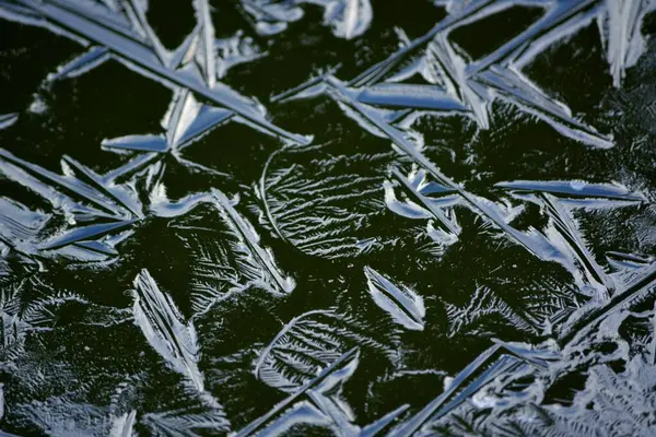 Frozen Garden Pond Winter Ice Structures Ice Formations — Stock Photo, Image