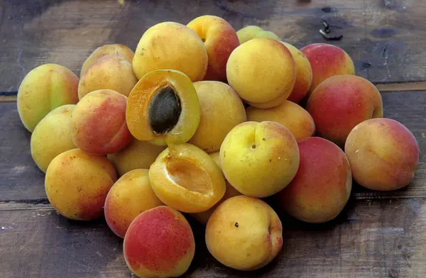 Apricots Prunus Armeniaca Products Compote Jam Prunus Spc Apricot Apricots — Stock Photo, Image