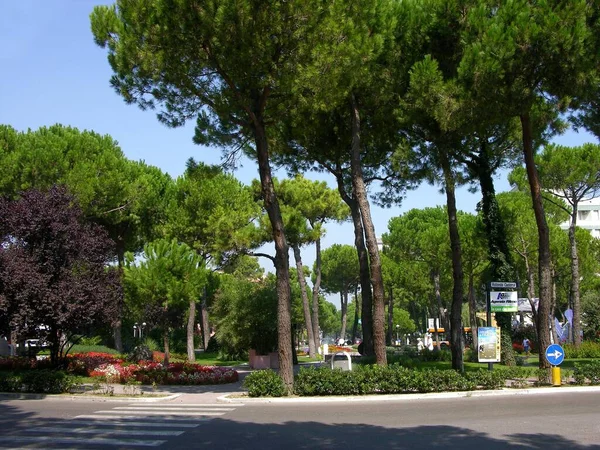 Garden Roundabout Traffic Island Italian Adriatic Sea Emilia Romagna Italia — Stock Photo, Image