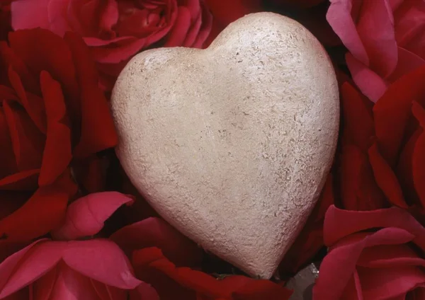 Stone Heart Red Rose Petals — Stock Photo, Image