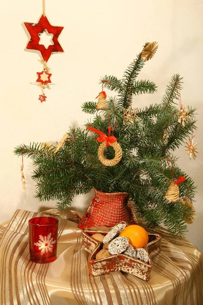 Still Life Christmas Decor — Stock Photo, Image