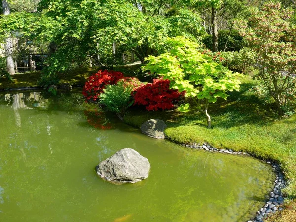 美国德克萨斯州施维洛西的日本盆景花园 Ferch Brandenburg — 图库照片