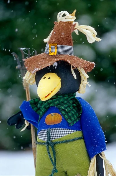 Scarecrow Winter Closeup View — Stock Photo, Image