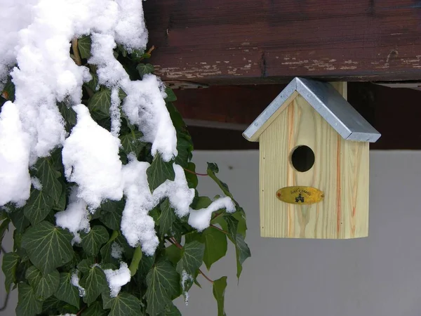Caja Nido Aves Invierno Con Nieve —  Fotos de Stock