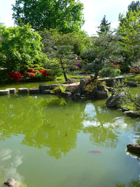 美国德克萨斯州施维洛西的日本盆景花园 Ferch Brandenburg — 图库照片