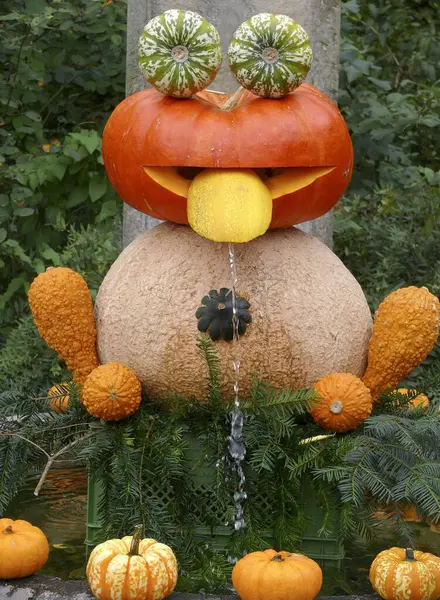 Pumpkin Exhibition Blhenden Barock Ludwigsburg — Stock Photo, Image