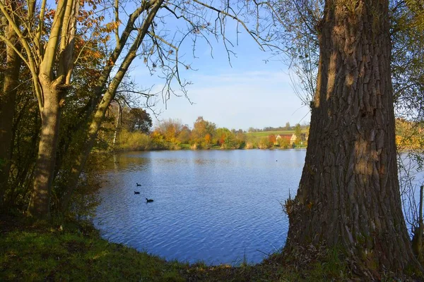 Herbstlandschaft Bei Maulbronn Morgenstimmung Aalkistensee Naturschutzgebiet — Stockfoto