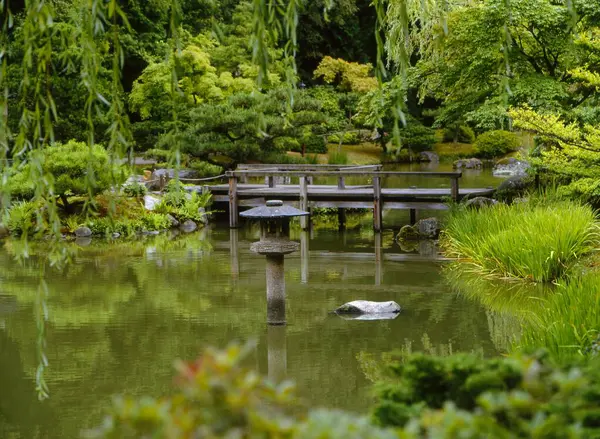 美国西雅图 华盛顿和北美的日本花园 — 图库照片