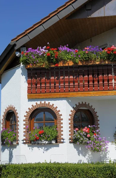 Цветы Окна Балкон Цветами — стоковое фото