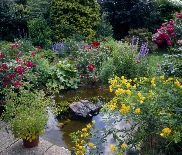 Садовый Пруд Цветнике Цветнике — стоковое фото