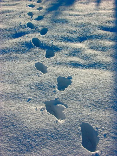 Huellas Nieve —  Fotos de Stock