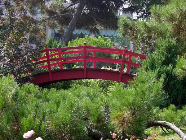 イタリアのアドリア海 エミリア ロマーニャ イタリア ミラノ マリッティの日本庭園 — ストック写真