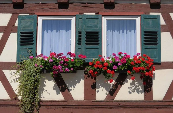Цветы Окна — стоковое фото