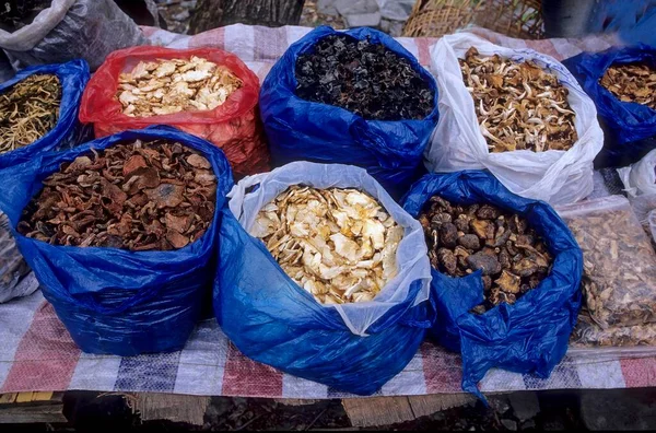 Vendas Cogumelos Florestais Mercado Market Stall Morels Sichuan China Vendas — Fotografia de Stock