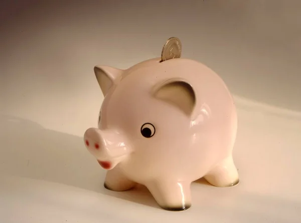 Pink piggy bank, money, coin, 5 one-mark piece, Pink saving pig, money, coin, 5 one-mark piece