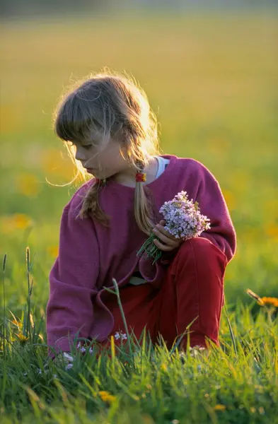 Dívka Trhá Květiny Venku — Stock fotografie