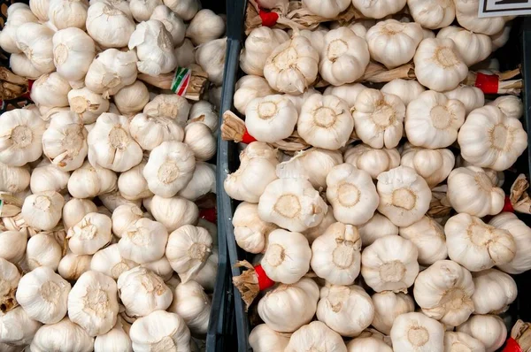 Garlic Close View — Stock Photo, Image