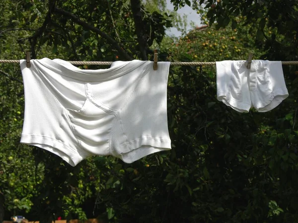 Πλυντήριο Ρούχων Κρέμεται Στεγνώσει Μια Γραμμή Εσώρουχα Για Στεγνώσει — Φωτογραφία Αρχείου