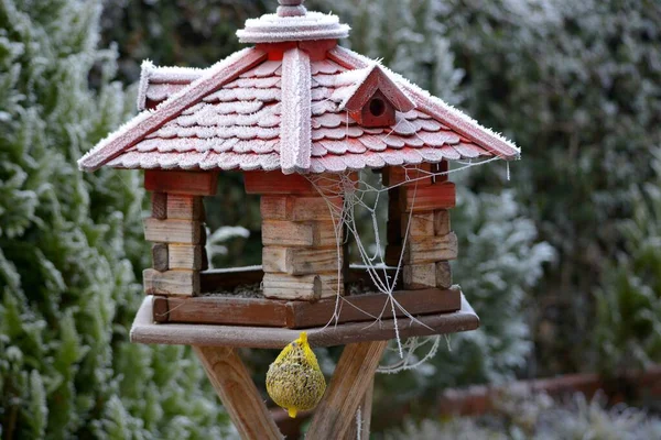 Alimentador Aves Invierno Con Tela Araña Hoarfrost —  Fotos de Stock