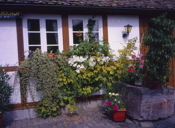 Gimmeldingen Weinstrasse Palatinate Rhineland Palatinate Almanya Avrupa Bir Evin Penceresi — Stok fotoğraf