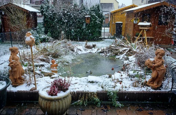 Garden Pond Winter — Stock Photo, Image
