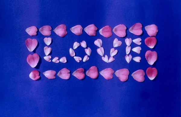 Aşk Petals Ağlayan Kalp Kanayan Kalp Kanayan Kalp Yanlış Kalp — Stok fotoğraf