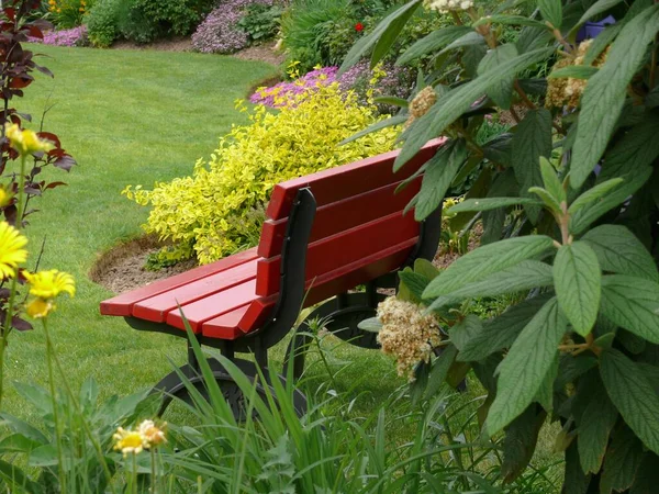 花园长椅 花园中的座位 花园中的花卉 夏季花园 — 图库照片
