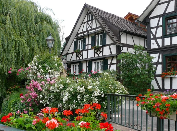 Michelbach Gaggenau Black Forest Half Timbered House Rose Garden Street — Stock Photo, Image