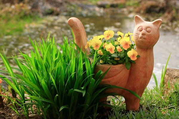 Ceramic Cat Pansy — Stock Photo, Image