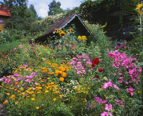 Dom Ogrodowy Kwiatami — Zdjęcie stockowe