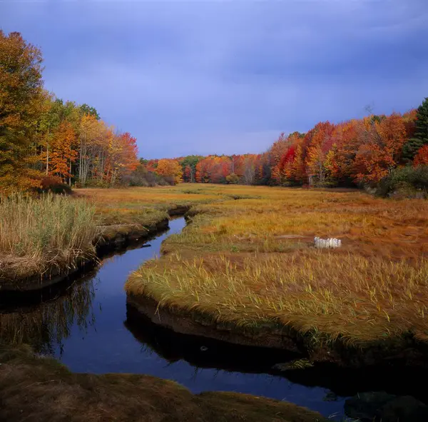Paisagem Outono Maine Eua América Norte — Fotografia de Stock