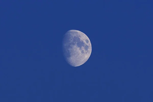 Increasing Moon Blue Evening Sky Germany Europe — Stock Photo, Image