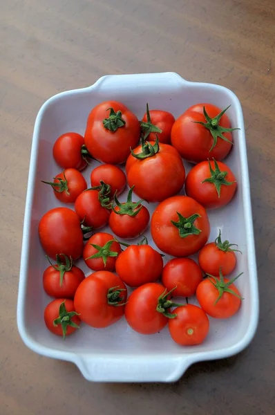 在皮肤上成熟的西红柿 Solanum Lycopersicum — 图库照片