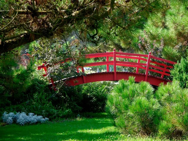 意大利亚得里亚海 艾米莉亚罗马纳 意大利 马里提玛的日本花园 — 图库照片