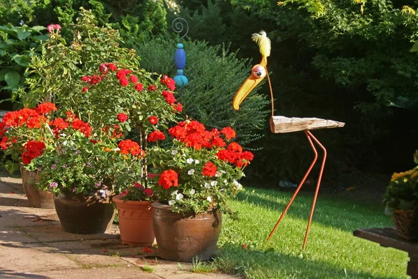 Jardin Ornement Oiseau Vue Rapprochée — Photo