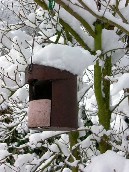 冬季雪地鸟巢盒 — 图库照片