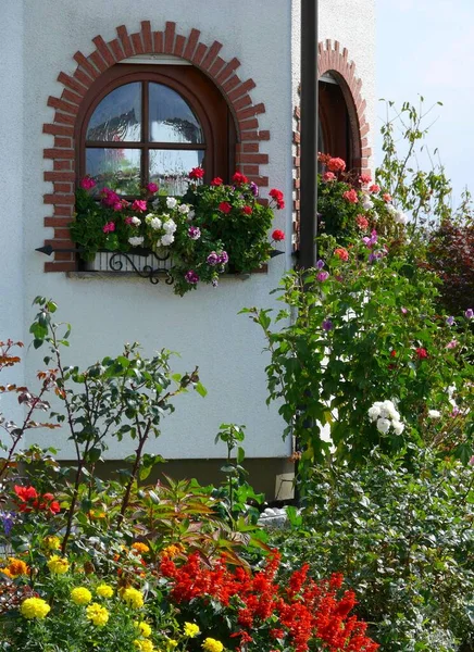 Maison Fenêtre Voûtée Avec Fleurs Jardin — Photo